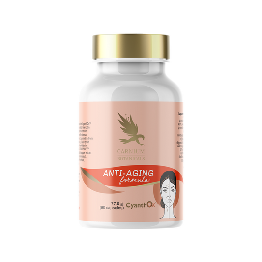Anti-Aging Formula 90 CAPSULE