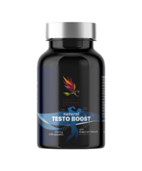 Testo Boost 120 CAPSULE